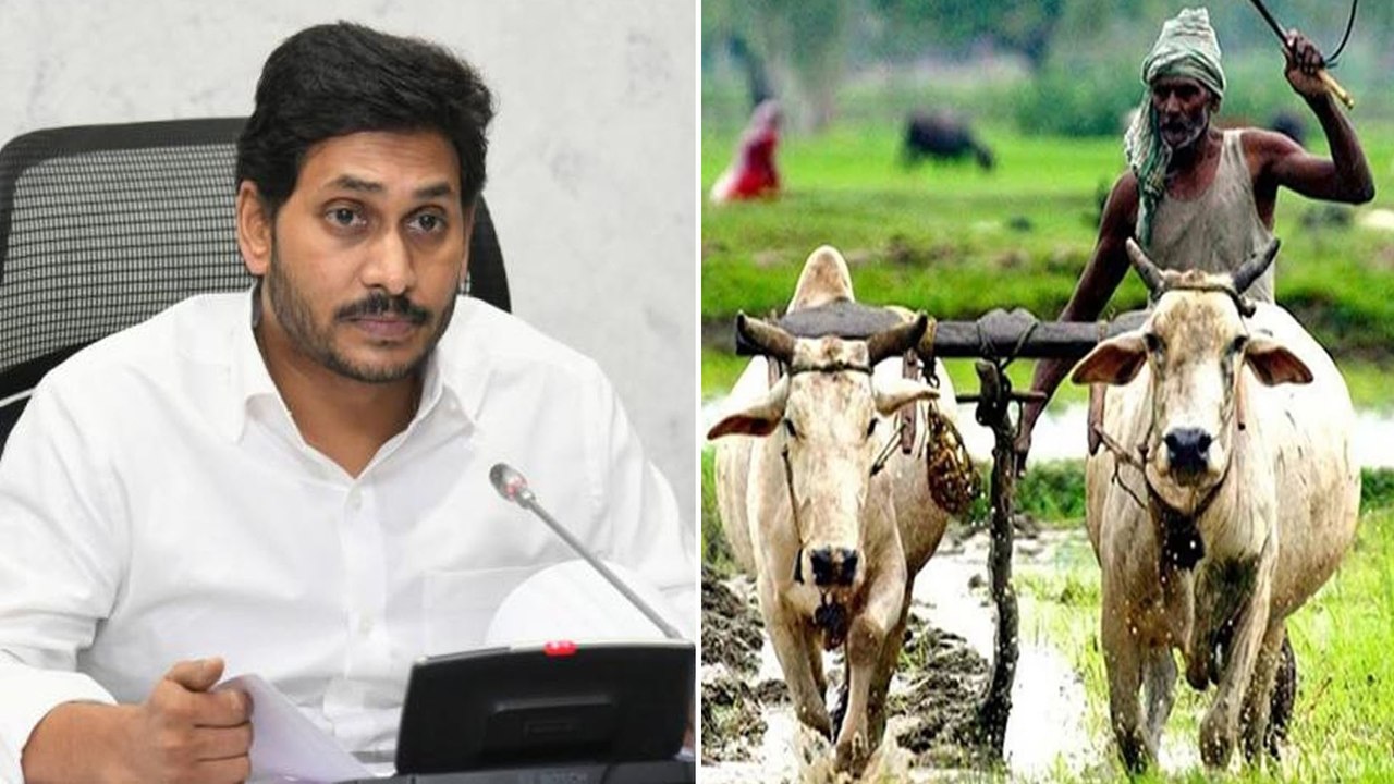 Free Crop Insurance Scheme ఉచిత పంటల భీమా పథకం అమలుకు నిర్ణయం AP Govt,వైఎస్ఆర్ జలకళలో మార్పులు...!!