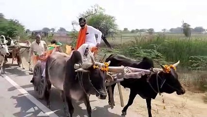 विधायक बैलगाड़ी से गांव गांव जाकर लोगों को शासन की योजनाएं भी पहुंचा रहे