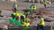 Intempéries dans les Alpes-Maritimes : des bénévoles nettoient les plages jonchées de bois morts