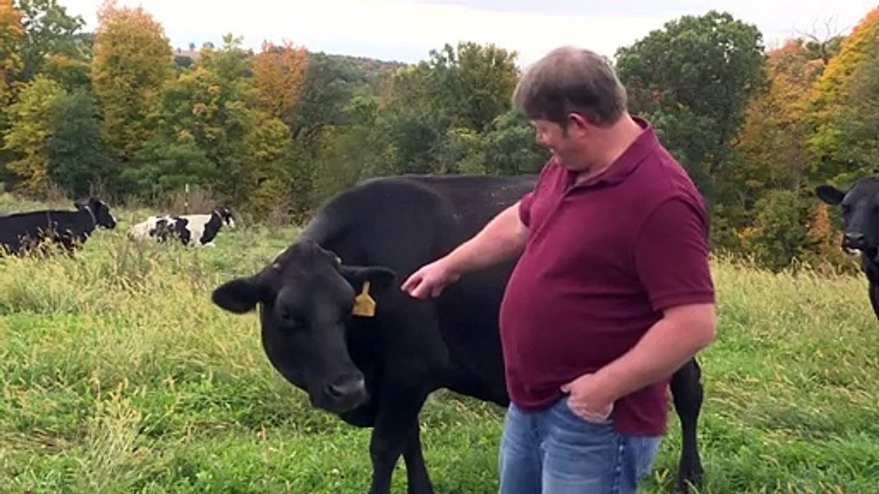 Wisconsin: Milchbauern als Präsidentenmacher