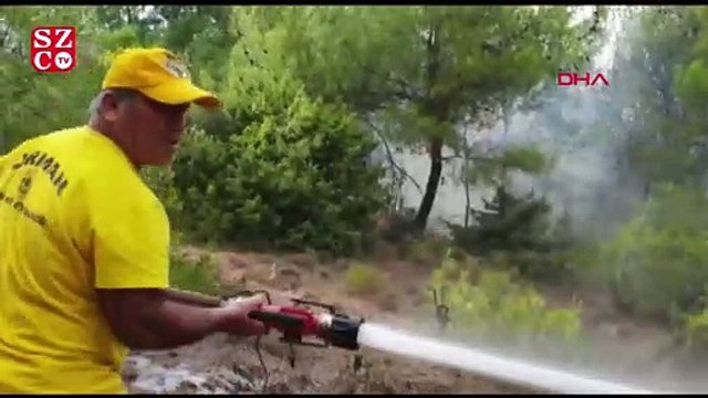 Osmaniye'de ormanlık alanda yangın; alevler evlere de sıçradı