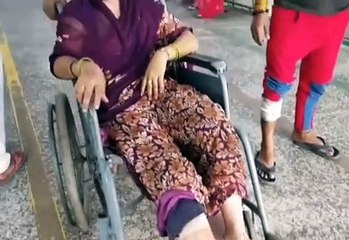 आवारा कुत्तों के हमले से जनता हो रही हादसों का शिकार