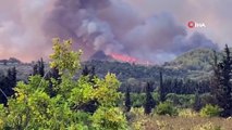 - Suriye'deki orman yangınları söndürülemiyor: 2 ölü, 70 yaralı