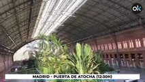 OKDIARIO sortea el cierre de Madrid y viaja en AVE a Barcelona sin pasar un solo control policial