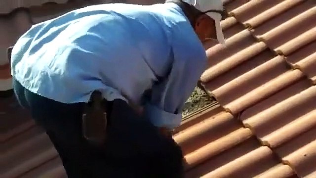 Il soulève des tuiles de son toit et fait une découverte étonnante