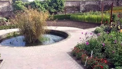 lost gardens of heligan