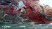 God of War 4 - Dragon Boss Fight (God of War 2018) PS4 Pro