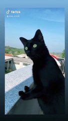 What's going on over there