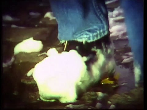 Vanessa Paradis — Flagrant délire — (INEDIT)