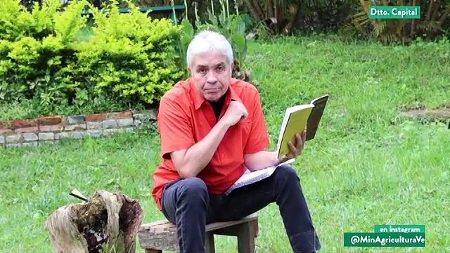 Cultivando Patria 10OCT2020 | Experiencias significativas de siembra de maíz en Yaracuy y Barinas