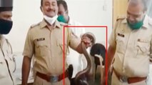 Maharashtra: One arrested for smuggling rare snake