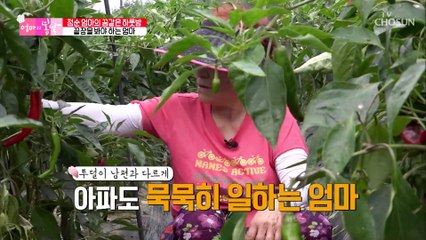 비가와도 쉬지 못하는 엄마ㅠㅠ feat. 매정한 남편