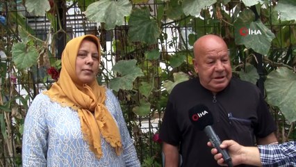 3 ay önce ektiği kabağın boyu 120 metreyi buldu