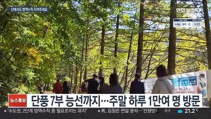 국립공원 단풍객 북적…산에서도 방역수칙 지켜야
