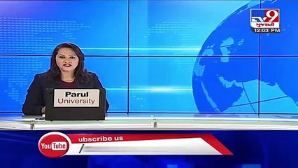 Monkey menace haunts residents of eastern parts of Ahmedabad _ Tv9GujaratiNews