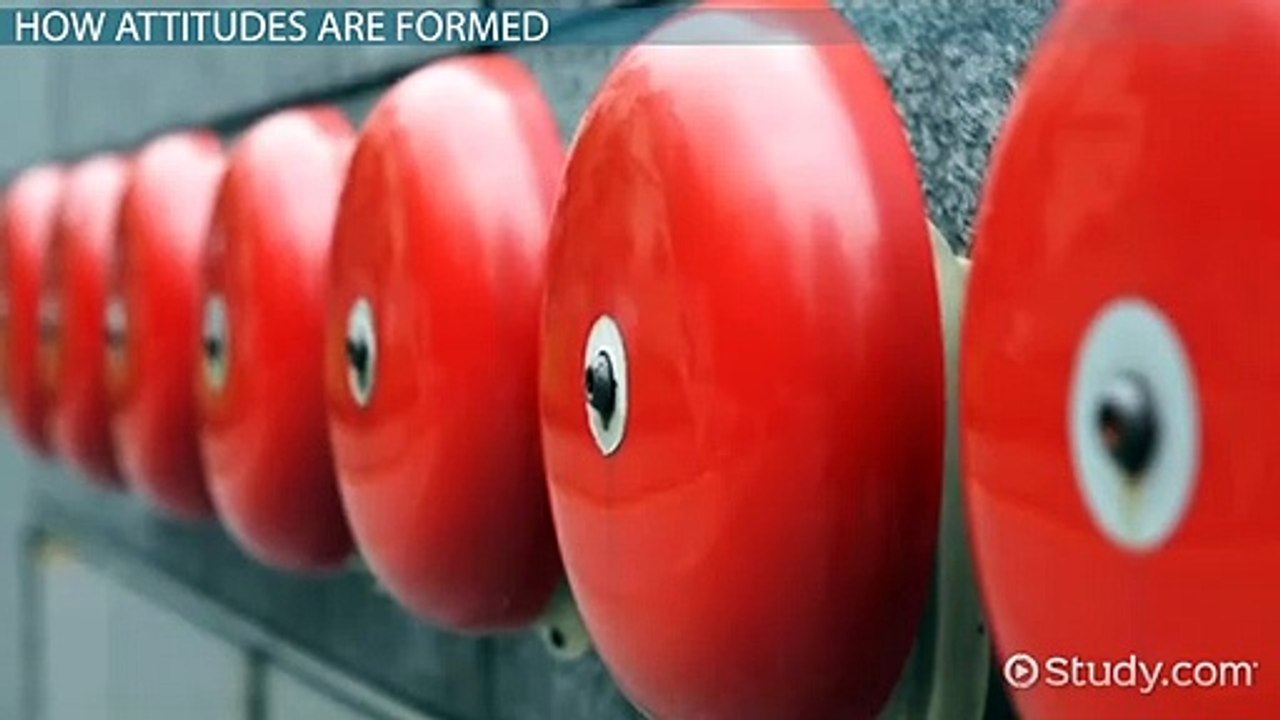 Attitudes- Components, Formation & Measurement - Video & Lesson Transcript - Study.com