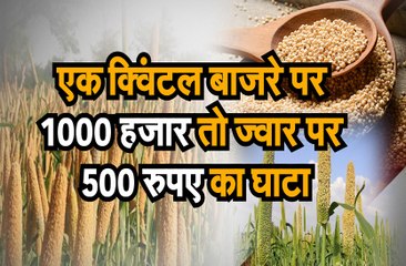 एक क्विंटल बाजरे पर एक हजार तो ज्वार पर 500 रुपए का घाटा