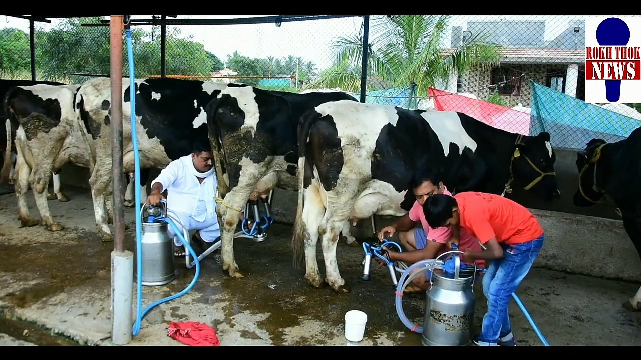 Patil Dairy |