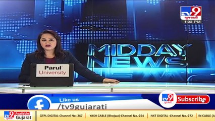 Monkey menace haunts residents of eastern parts of Ahmedabad, 5 injured _ Tv9GujaratiNews