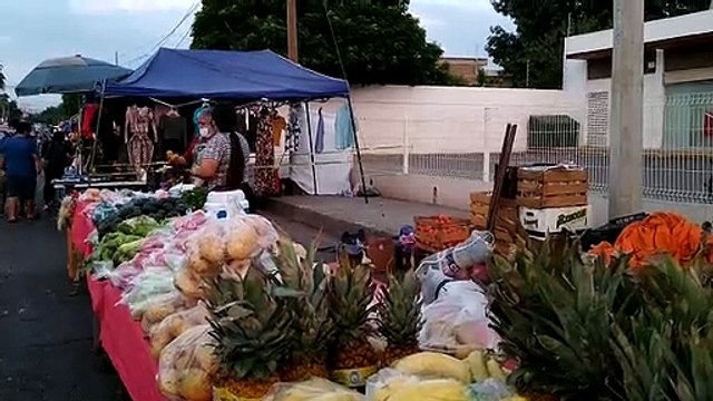 Titulo: Reinstalan tianguis Huizaches