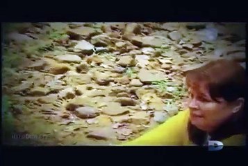 Agressions animales épisode 9 saison 2