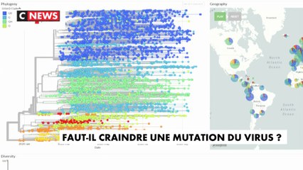 Faut-il craindre une mutation du virus ?