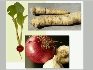 Free Natural Asthma Attack Home Remedies Illustrated