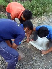 प्रसासन ने गड्ढे नही भरे तो युवाओं ने भरे