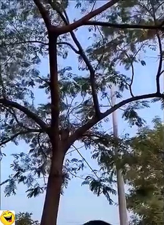 can't_stop_laughing_#17(480p)