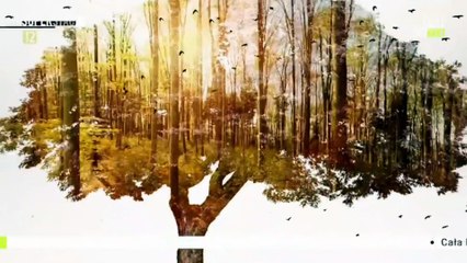 EkoKret - czolowka i tylowka