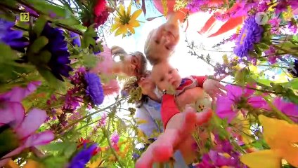 Brzydula2 - czołówka i tylowka