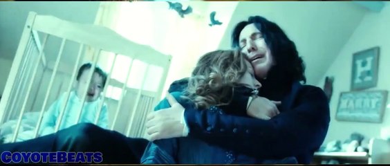 Harry Potter - The Dark Lord will return (Video Remix)