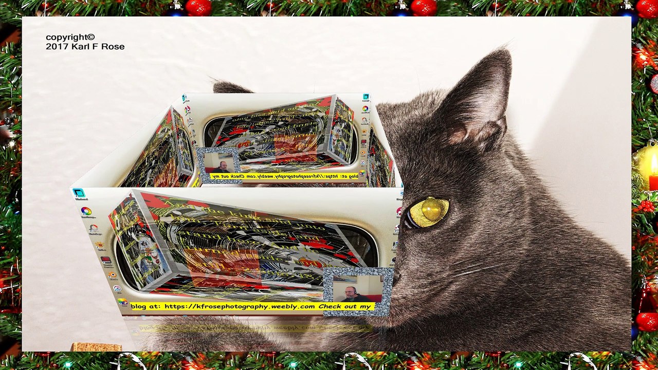 3D Cat health tips l Cats and plastic bags l Pets and animals