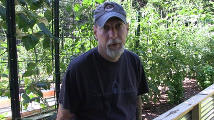 The Benefits Of Bunny Poop: A Super Manure for your Garden!