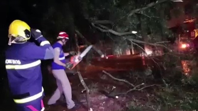 Galho de árvore cai e atinge fiação no Loteamento Mirante