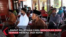 Kefir Susu Peningkat Daya Tahan Tubuh