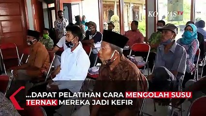 Kefir Susu Peningkat Daya Tahan Tubuh