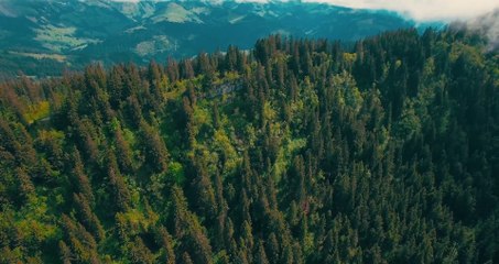 Best|. Drone footage|. Best videos|.