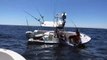 Huge Tuna Nearly Capsizes Boat