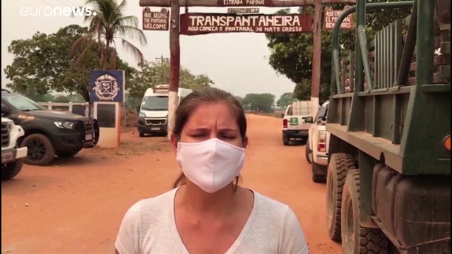 La pelle del pesce tilapia cura le ustioni. In Brasile usata per gli animali feriti negli incendi