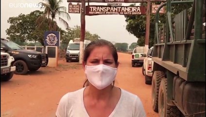 Pele de peixe para tratar animais queimados no Pantanal