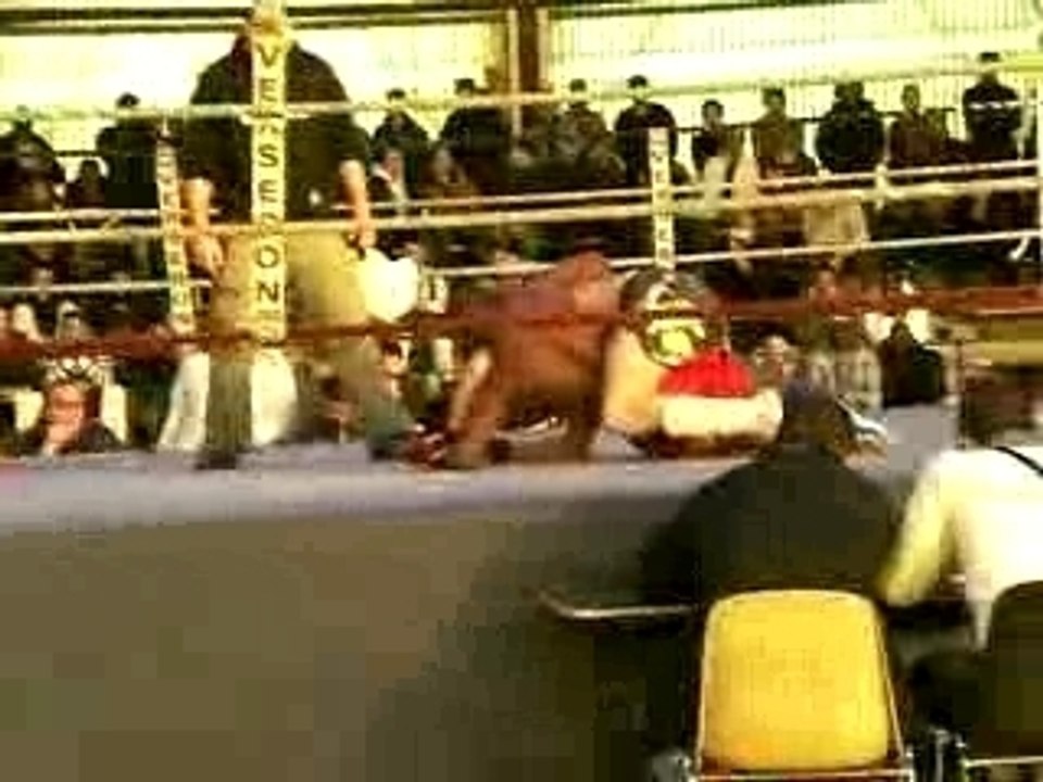 Compet free fight finale Paris 2