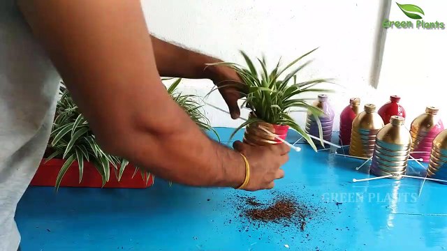 Great Way to Create Your Own Vertical Garden with House plants Using Plastic Bottles GREEN PLANTS