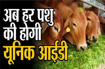 अब हर पशु की होगी यूनिक आईडी