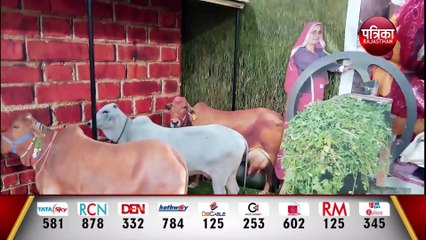 अब हर पशु की होगी यूनिक आईडी