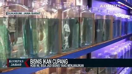 下载视频: Hobi Ini, Bisa Jadi Bisnis Yang Menjanjikan