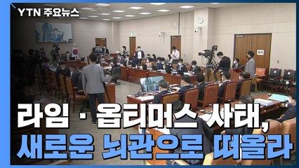 국감장 뒤덮은 라임·옵티머스...국민의힘 "특검해야" / YTN