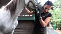 'Türkiye’nin tek kadın nalbantı' ojeli elleriyle atlara nal çakıyor