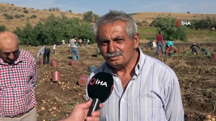 Patatesin tarlada 75 kuruşa düşmesi üreticiyi üzdü