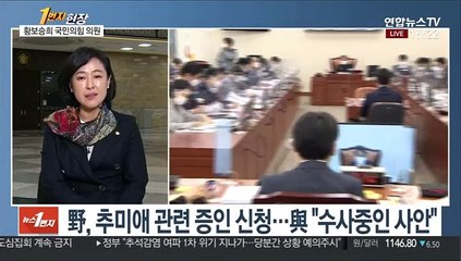 [1번지 현장] 국민의힘 황보승희 의원에게 묻는 정국 현안